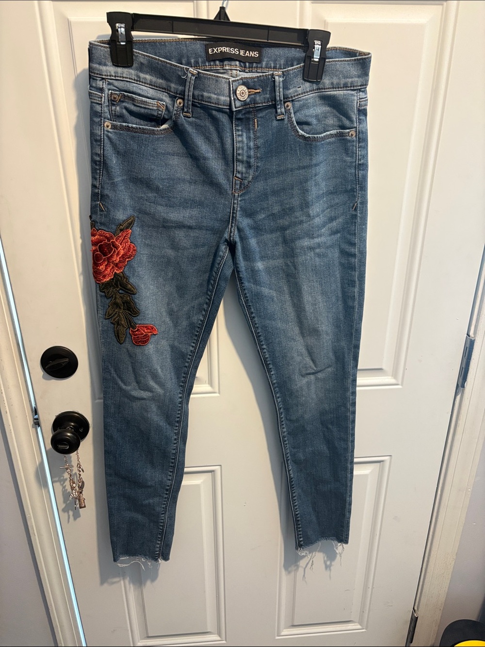Express Blue Skinny Jeans with Red Rose Embroidery